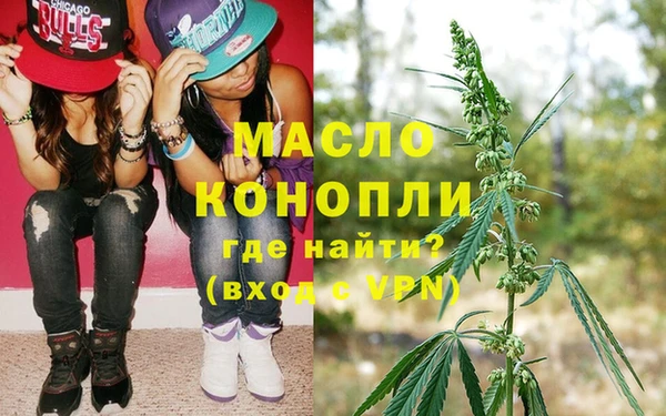 молекула духа Нягань
