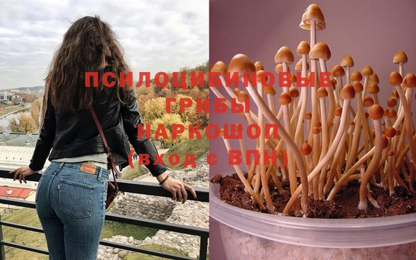 Альфа ПВП Алексеевка